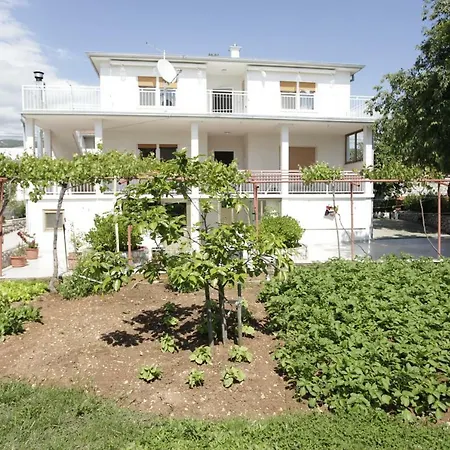 Balazevic