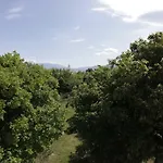 Gostinjska kuća Balazevic Novi Vinodolski